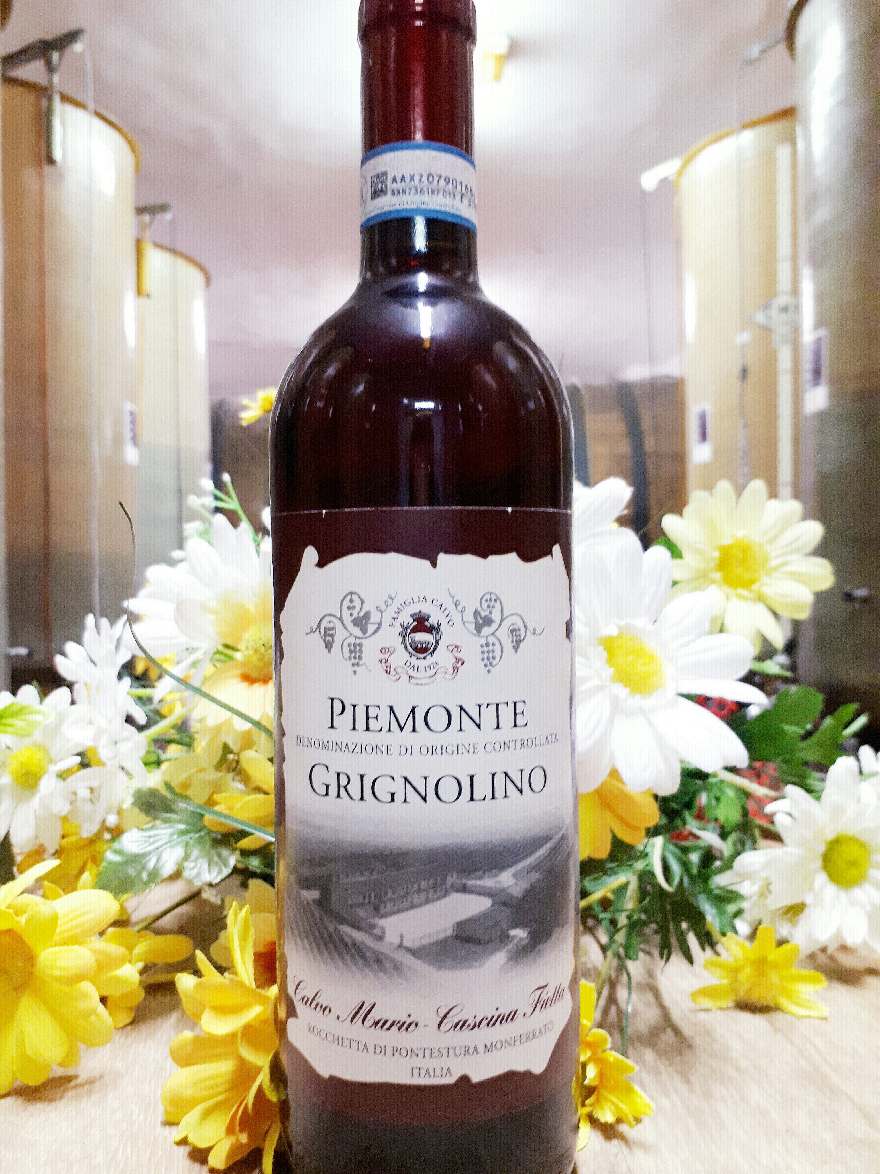 PIEMONTE GRIGNOLINO D.O.C.