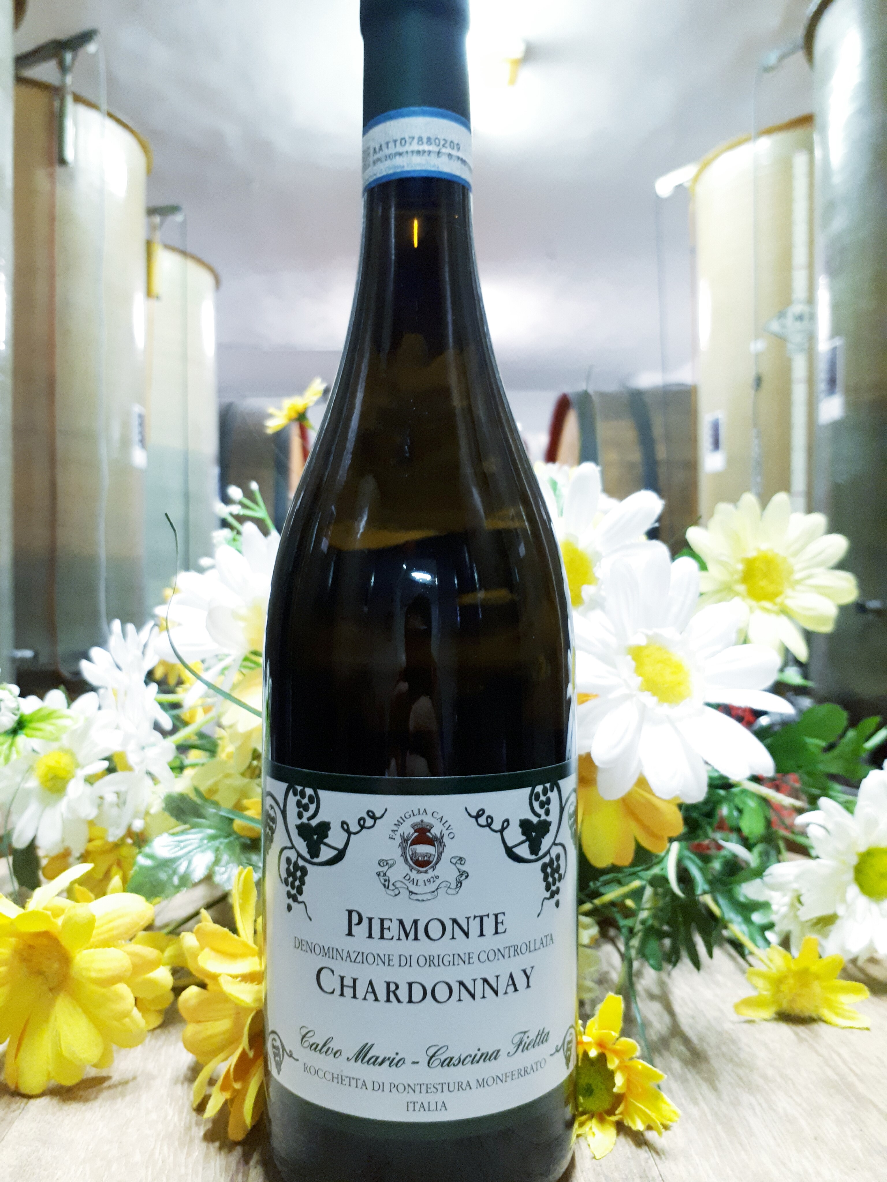 PIEMONTE CHARDONNAY D.O.C.