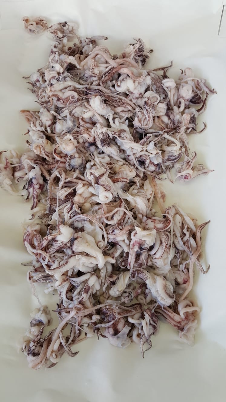 Ciuffi di calamaro  - circa 500 gr (il peso può variare) 