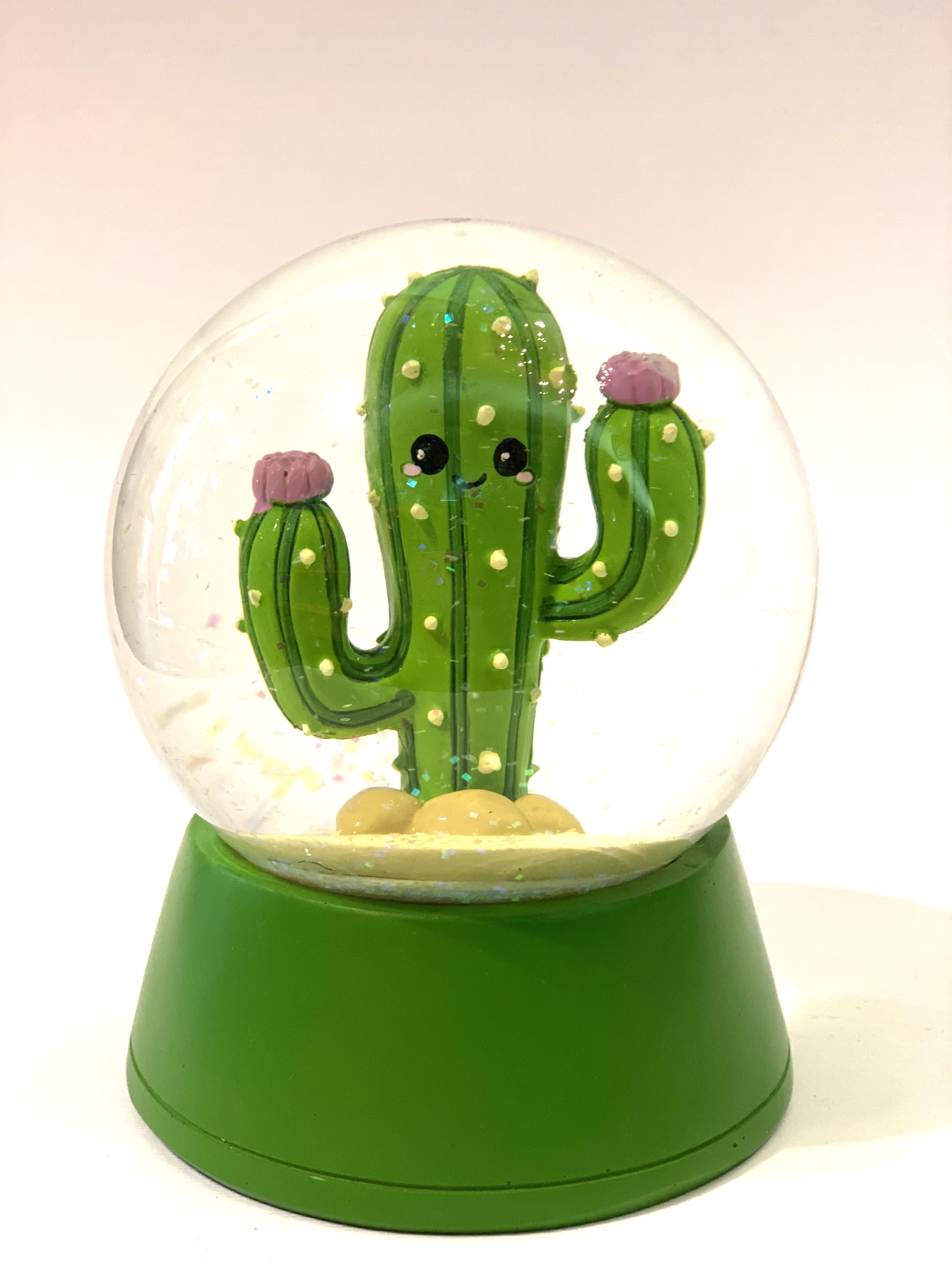boule de neige soggetto cactus