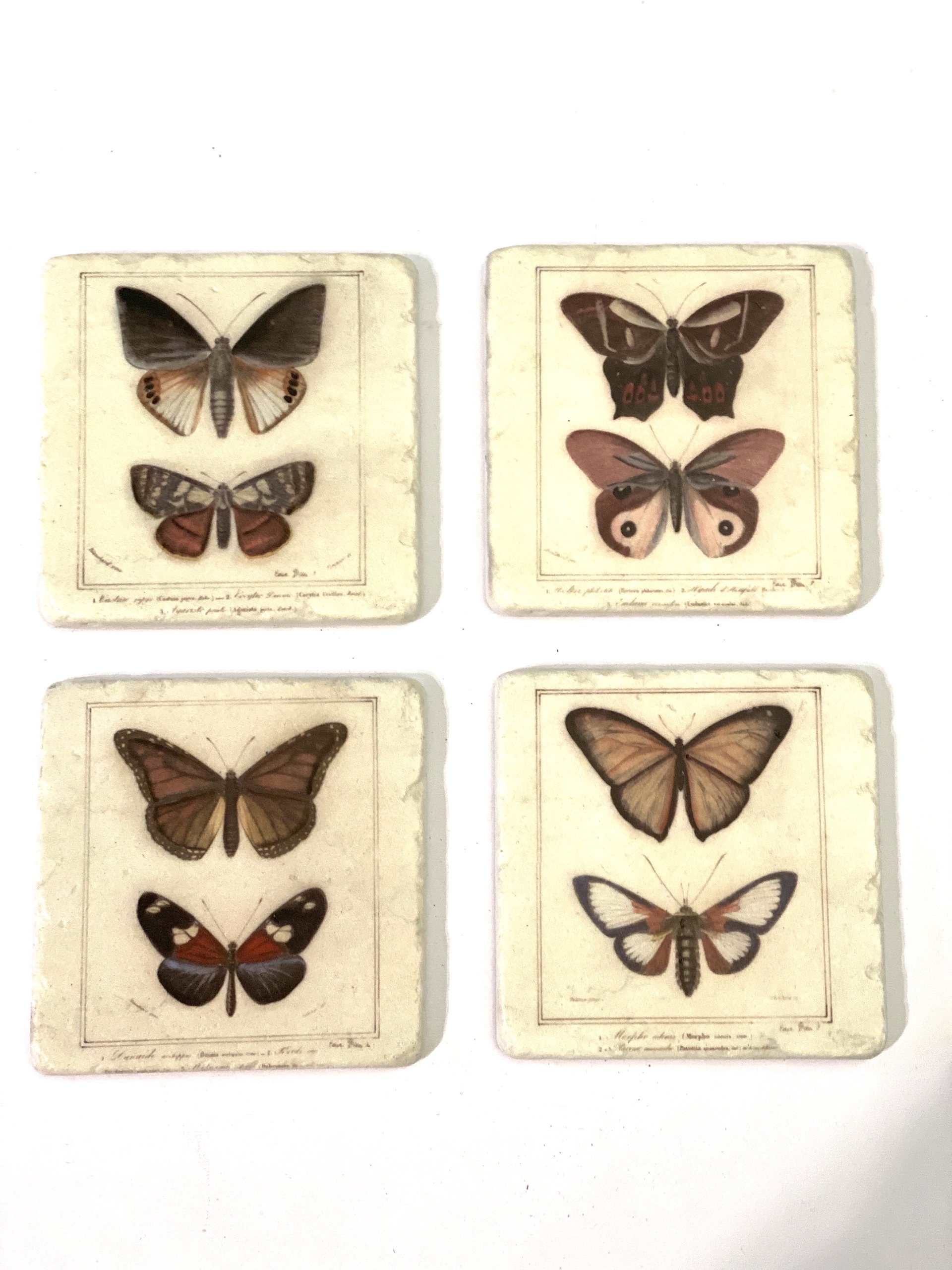 set di 4 pz  piastrelle di ceramica soggetto farfalle 10x 10 